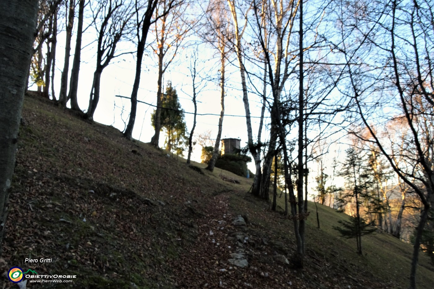 72 Al roccolo del costone.JPG
